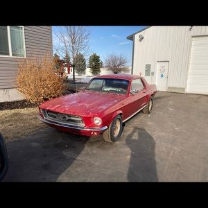 Meet your Posher, Ralph